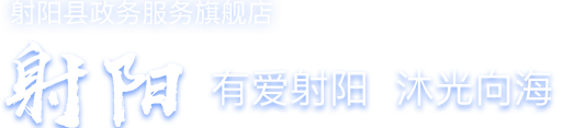 射阳县政务服务网